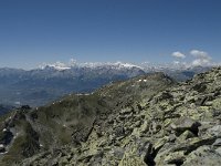 CH, Wallis, Anniviers, Schwarzhorn 6, Saxifraga-Willem van Kruijsbergen